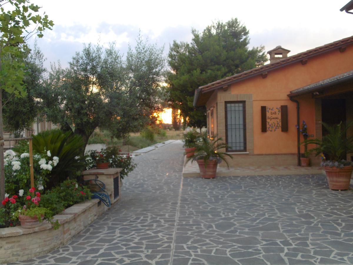 B&B La Gioiosa Assise Extérieur photo